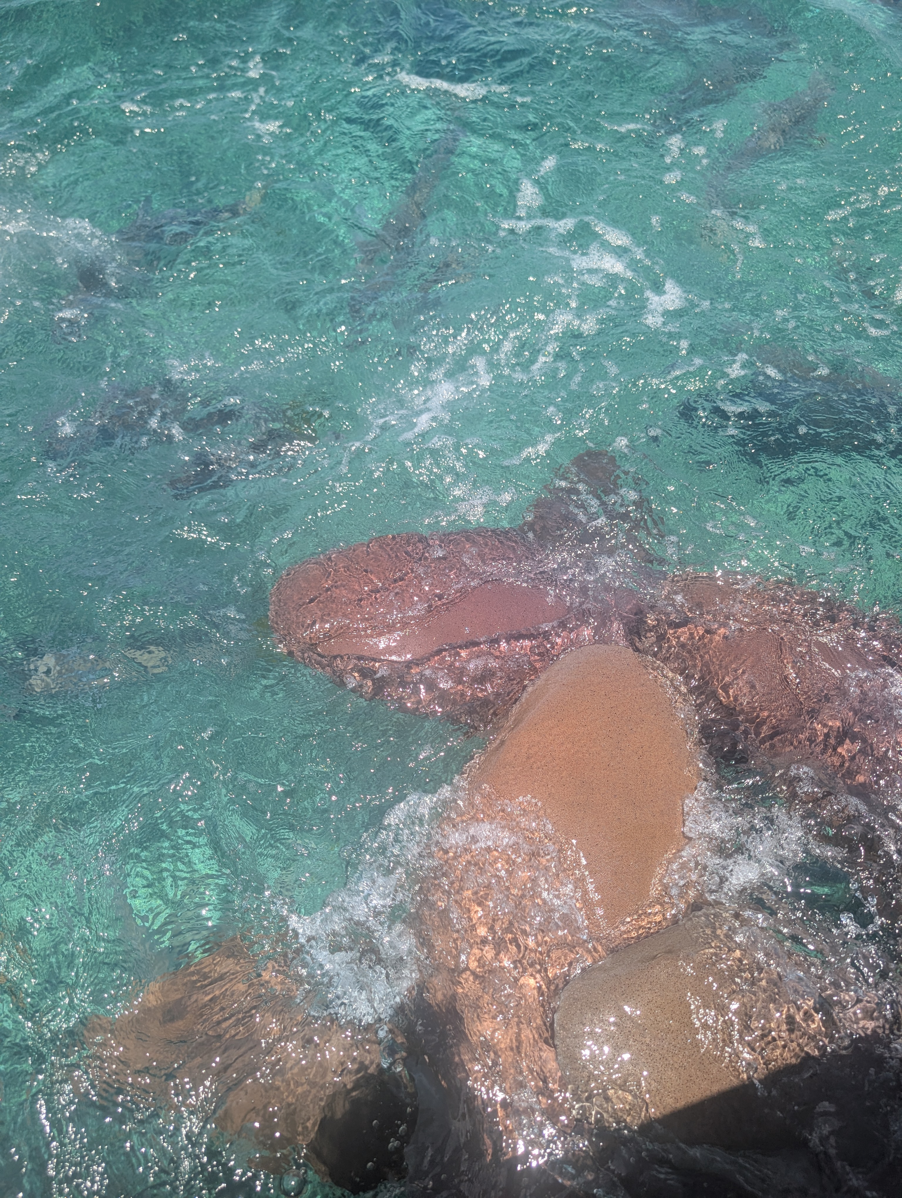 Clear turquoise water over the Belize Barrier Reef near San Pedro, a prime nurse shark and stingray snorkeling spot